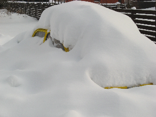 24.02.10 Lesta tn-l (6).jpg