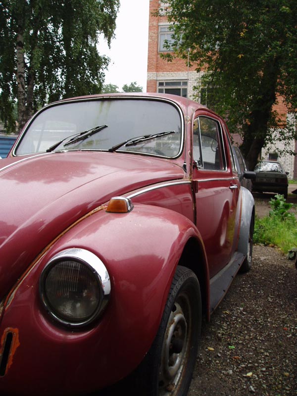 P8100138.jpg
