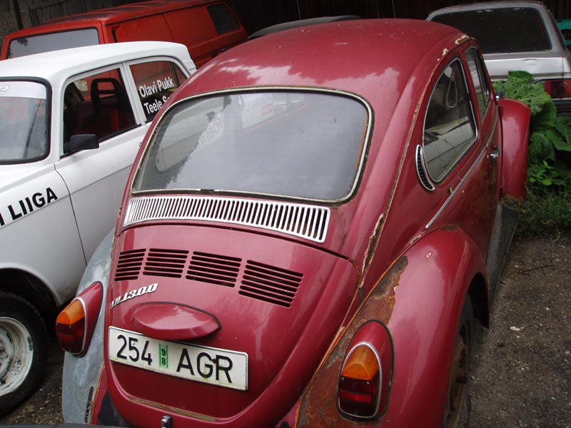 P8100134.jpg