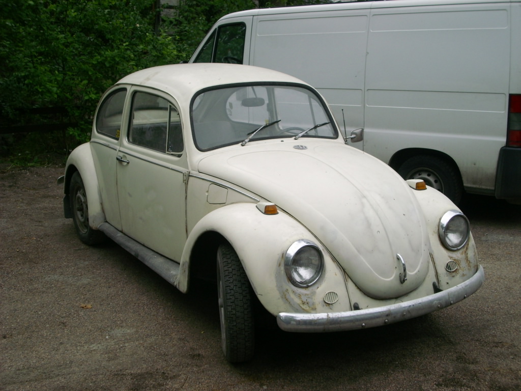DSCI1384.JPG